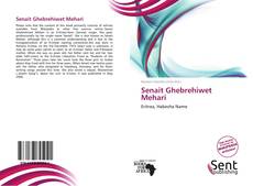 Capa do livro de Senait Ghebrehiwet Mehari 