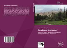 Bookcover of Bezirksamt Stadtamhof