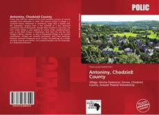 Bookcover of Antoniny, Chodzież County