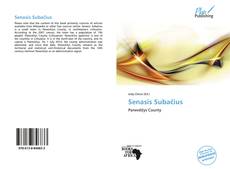 Bookcover of Senasis Subačius