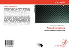 Buchcover von Anton Schmidkunz