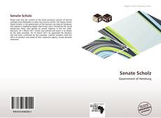 Buchcover von Senate Scholz