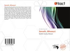 Bookcover of Senath, Missouri