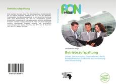 Bookcover of Betriebsaufspaltung
