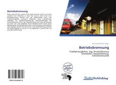 Bookcover of Betriebsbremsung