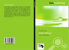 Bookcover of Anton Schlossar