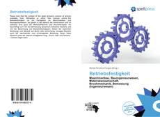 Bookcover of Betriebsfestigkeit