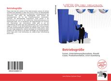 Capa do livro de Betriebsgröße 