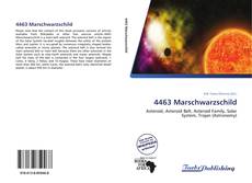 4463 Marschwarzschild kitap kapağı