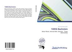 Capa do livro de 10856 Bechstein 