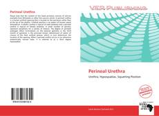 Couverture de Perineal Urethra