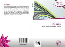 Portada del libro de 13258 Bej