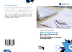 Bookcover of Betriebsoptimum