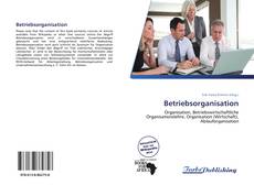 Bookcover of Betriebsorganisation