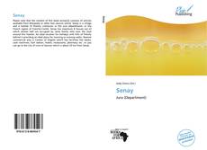 Capa do livro de Senay 