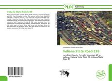 Capa do livro de Indiana State Road 238 