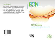 Bookcover of 3093 Bergholz