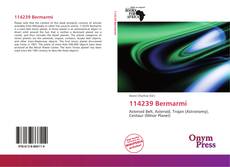 Bookcover of 114239 Bermarmi