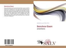 Capa do livro de Senchoa Gaon 