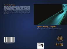 Bookcover of Spout Spring, Virginia