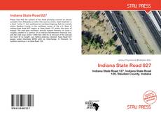 Copertina di Indiana State Road 827