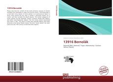 Couverture de 13916 Bernolák