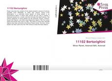 Bookcover of 11102 Bertorighini