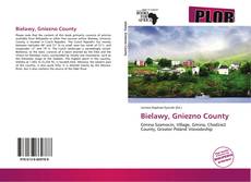 Bookcover of Bielawy, Gniezno County