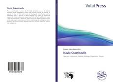 Couverture de Navia Crassicaulis