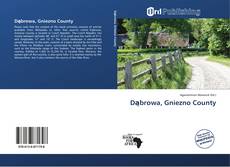 Portada del libro de Dąbrowa, Gniezno County