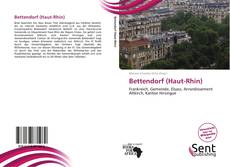 Capa do livro de Bettendorf (Haut-Rhin) 