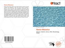 Portada del libro de Navia Mosaica