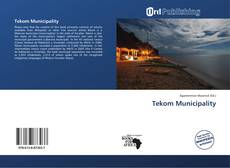 Copertina di Tekom Municipality