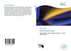 Bookcover of 2829 Bobhope