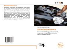 Bookcover of Betriebstemperatur