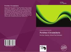 Bookcover of Perirhoe Circumcincta