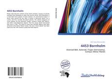 Capa do livro de 4453 Bornholm 