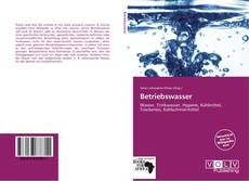 Portada del libro de Betriebswasser