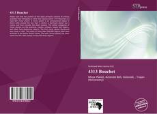 Portada del libro de 4313 Bouchet