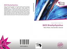 Portada del libro de 8433 Brachyrhynchus