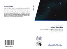 11666 Bracker kitap kapağı