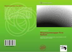 Capa do livro de Waywayseecappo First Nation 