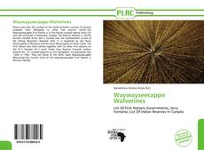 Capa do livro de Waywayseecappo Wolverines 