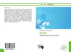 Portada del libro de Wazeer