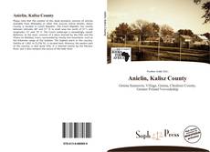 Bookcover of Anielin, Kalisz County