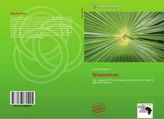 Capa do livro de Wazemmes 