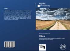 Buchcover von Blinek