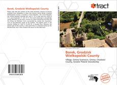 Portada del libro de Borek, Grodzisk Wielkopolski County