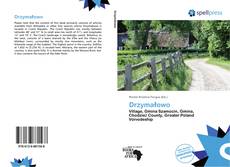 Bookcover of Drzymałowo