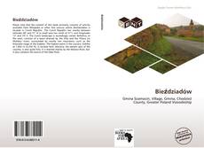 Buchcover von Bieździadów